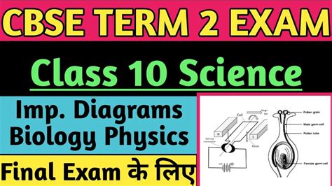 Important Diagram of Science Class 10 for Term 2 Exam, 10th Class Biology and Physics Diagram ...