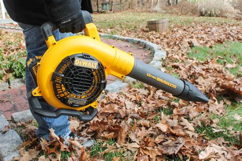 The 8 Best Cordless Leaf Blowers of 2020
