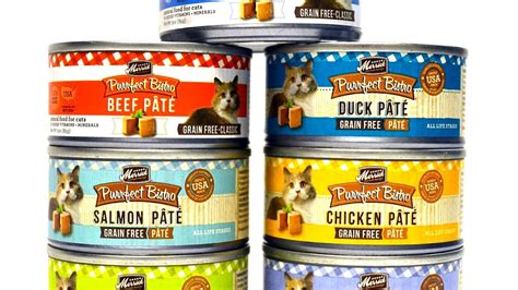 What Is The Healthiest Wet Cat Food Brand – Munchkin Kitten Store