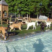 Dogwood Acres Pet Retreat - 21 Photos & 37 Reviews - Pet Training - 439 ...