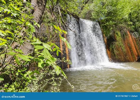 Cloud forest waterfall, stock image. Image of amazon - 31761967