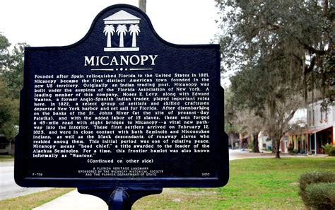 Micanopy: The Town that Time Forgot