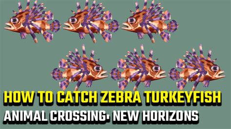 How to catch the Animal Crossing: New Horizons Zebra Turkeyfish - GameRevolution