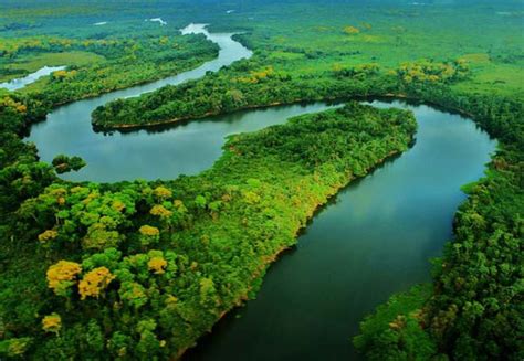 Amazônia: tudo sobre o bioma e como ele pode cair no vestibular | Guia do Estudante