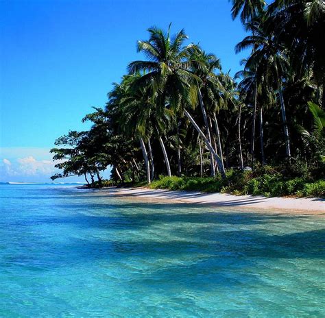 Mentawai Islands - Qué SABER antes de ir (ACTUALIZADO 2024) - Tripadvisor