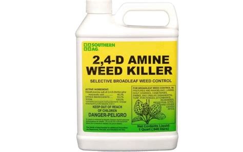 Dandelion Spray Weed Killer - Pregnant Center Informations