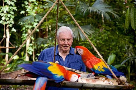 Sir David Attenborough reveals findings in his new series about the way animals see colour ...