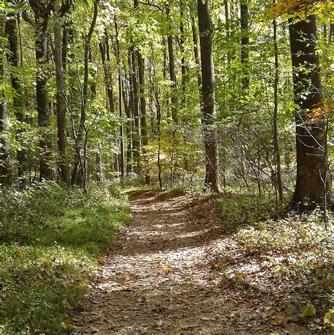 Oregon Ridge Park’s network of trails take you through forest, field and stream habitats ...