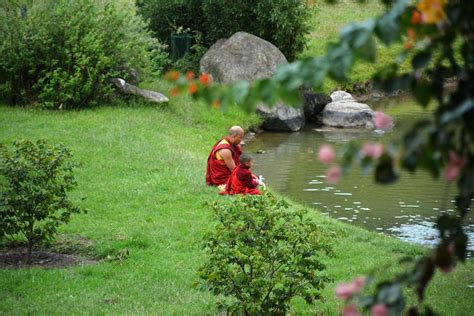 Punakha Travel Guide: Best of Punakha, Punakha Travel 2024 | Expedia.co.in