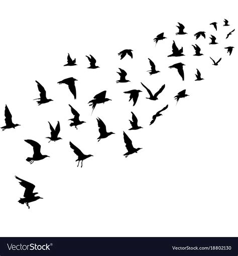 Silhouettes of flying birds Royalty Free Vector Image