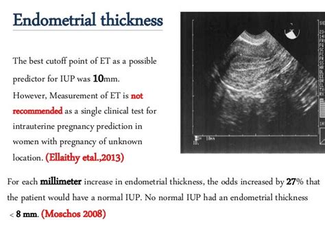 Uterine Lining Measurements