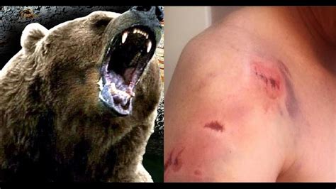 Montana man posts graphic video showing aftermath of grizzly bear ...