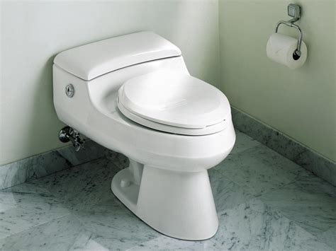 Water-Saving Toilets That Won’t Flush Away Your Money | HGTV