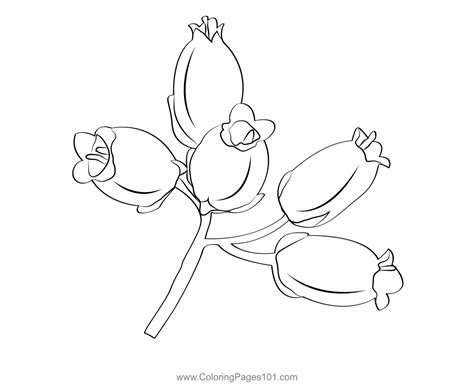 Heather Flower Coloring Page for Kids - Free Heathers Printable Coloring Pages Online for Kids ...