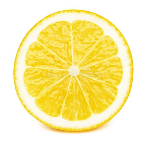 Half of Lemon Fruit Slice Isolated on White Stock Photo - Image of slice, background: 122517494