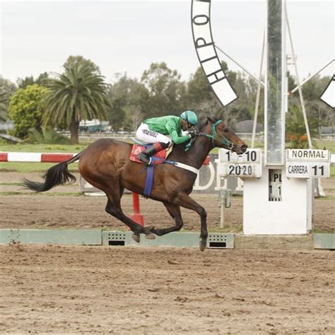 Es De Dato: |PRONOSTICO - JUEVES 4/2 - HIPODROMO DE LA PLATA.|