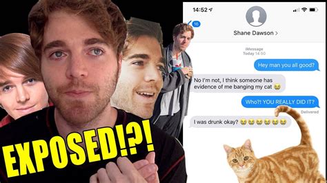 Shane Dawson Cat Meme