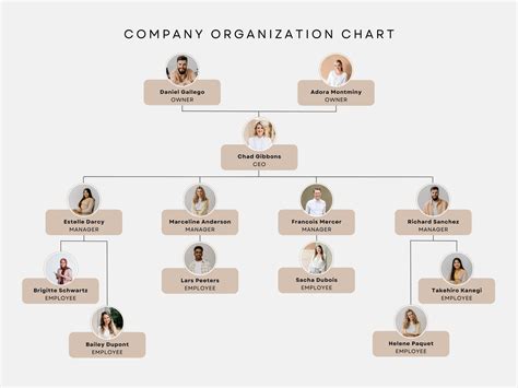 Minimalist Gold Company Organization Chart Organizational, 57% OFF