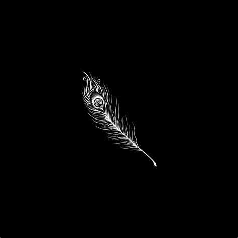 White Peacock Feather Wallpaper