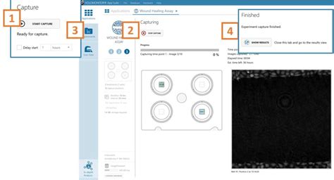 HoloMonitor® Wound Healing Assay Protocol - Phase Holographic Imaging