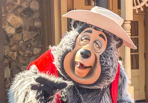 NEWS: Country Bears Are Greeting Guests Again in Magic Kingdom ...