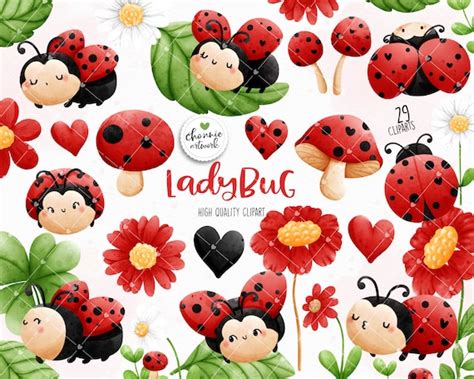 Ladybug Clipart Cute Ladybug Png Bug Clipart Love Bug - Etsy