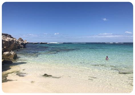 Everything you need to know about visiting Rottnest Island