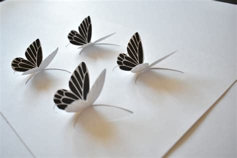 How to Make Butterfly Specimen Art for Spring | LZ Cathcart