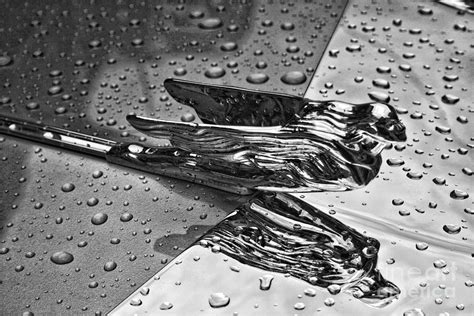 Flying Lady Hood Ornament in B and W Photograph by Crystal Nederman ...