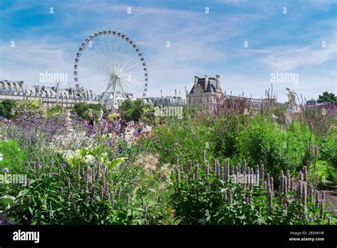 Tuileries garden, Paris Stock Photo - Alamy