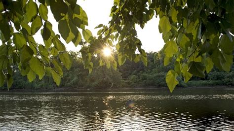 Anacostia River to open for first legal swim in more than 50 years ...