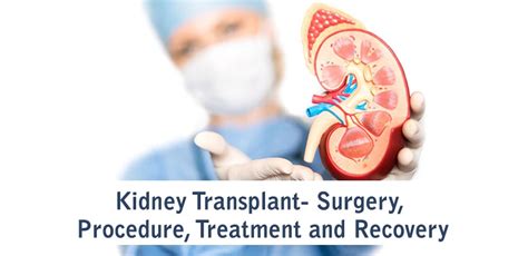 Kidney Transplant- Surgery, Procedure, Treatment and Recovery – Bansal ...