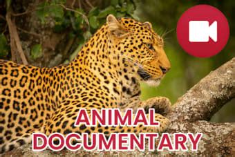 Wild Animals Documentary for Android - Download