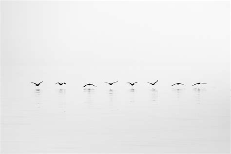 6 Important elements in minimalist photography, and why they work ...