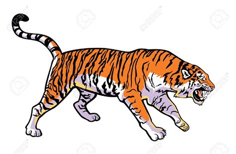 Bengals Clipart at GetDrawings | Free download