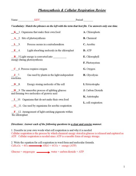 Cell Respiration and Photosynthesis Review Packet | Exercises ... - Worksheets Library