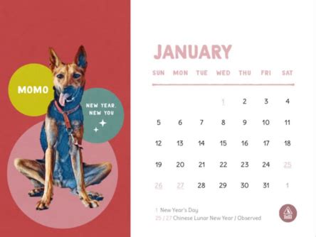 8 Cute Animal Charity Calendars From Pet Shelters In Singapore To Kickstart 2020 Purrfectly