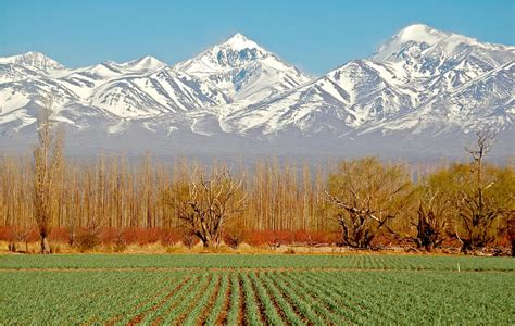 Scenic Tour of Argentina: Mendoza, Barreal, Salinas Grandes & More ...