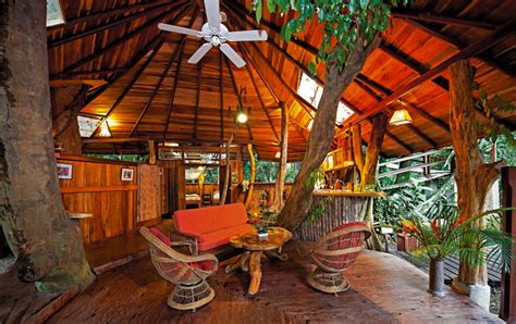 Tree House Lodge | Glamping Getaway