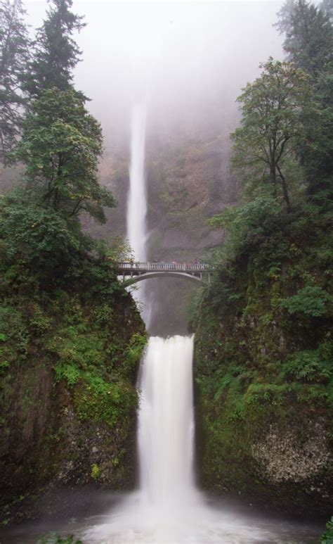 10 Unreal Waterfall Hikes In Oregon | Waterfall hikes, Oregon ...