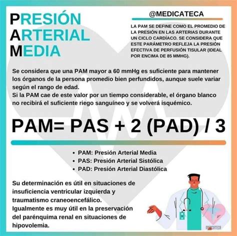 Presion Arterial Media | YUDOC.ORG | uDocz