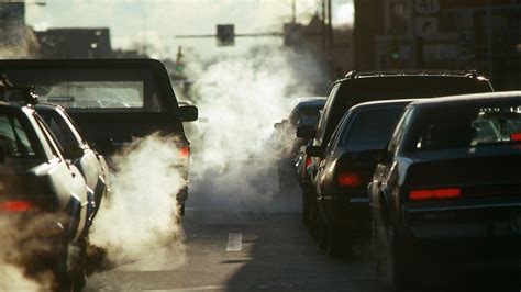 The Link Between Air Pollution and Autoimmune Diseases | Conservative ...