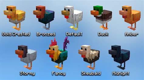 More Chicken Variants [1.19 - 1.20] Minecraft Texture Pack