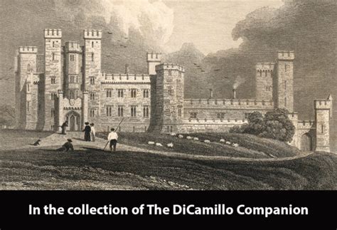 Mitchelstown Castle (Michel's Town Castle) - DiCamillo