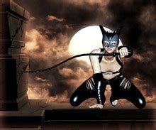 Catwoman Free Stock Photo - Public Domain Pictures