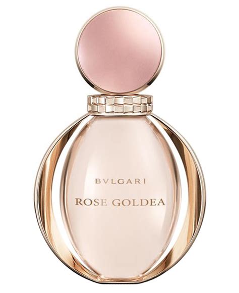 Rose Goldea Bvlgari perfume - a new fragrance for women 2016