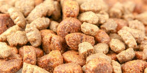 15 Best Grain-Free Dog Foods — Reviews and Buying Guide