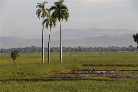 Artibonite River Valley - Canal Walks » Hands Across the Sea (HATS-Haiti)