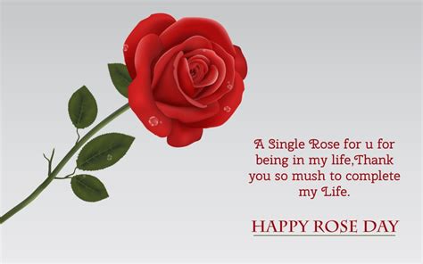 Happy Rose Day Wishes Wallpapers Greetings Messages - Rose Day Images ...