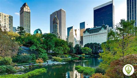 The importance of incorporating green spaces in city planning - EcoMatcher